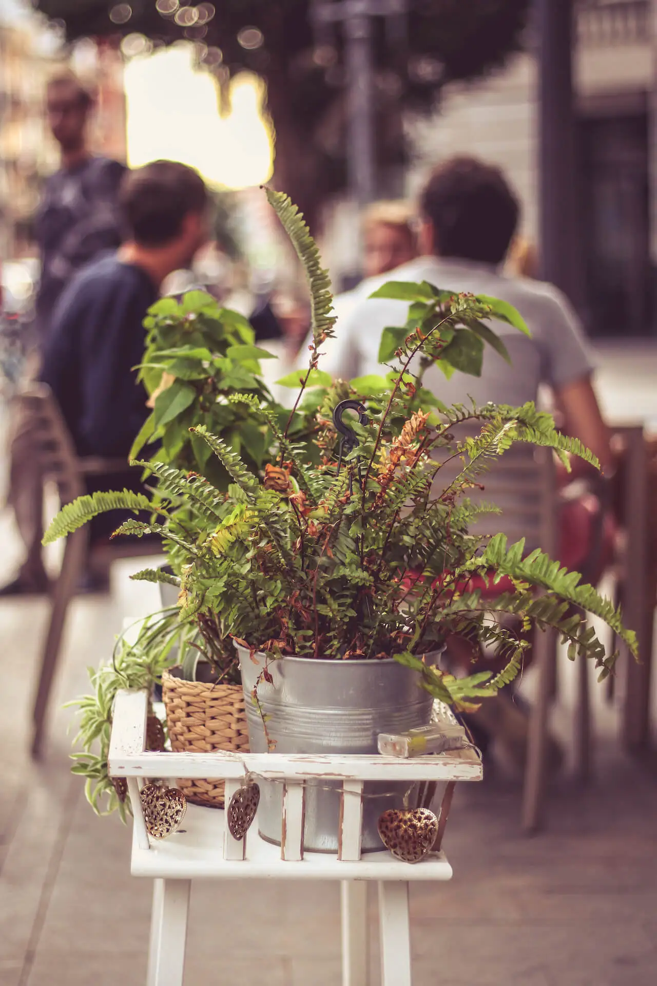 Terraza del Bar Biosca